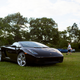 Illustration for article titled Here Are Some Of The Incredible Cars Of The Bear Mountain Car Cruise